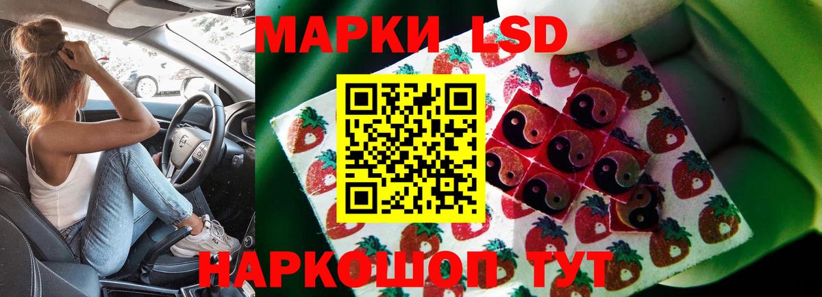 kraken tor  ЛСД экстази ecstasy  Железногорск  Вход с VPN  Лсд 25 экстази ecstasy 