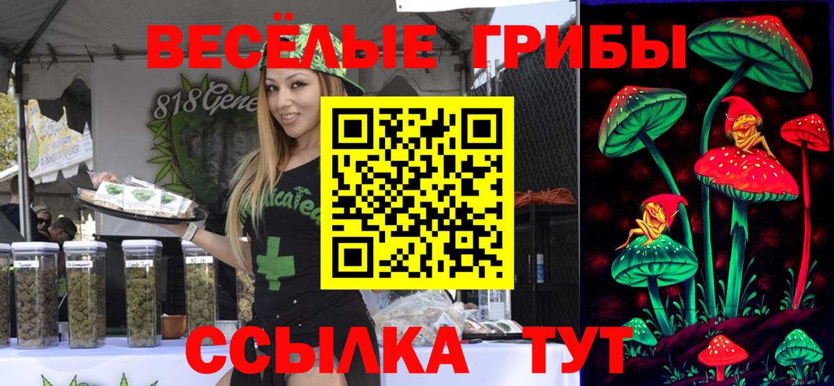 Псилоцибиновые грибы прущие грибы Железногорск