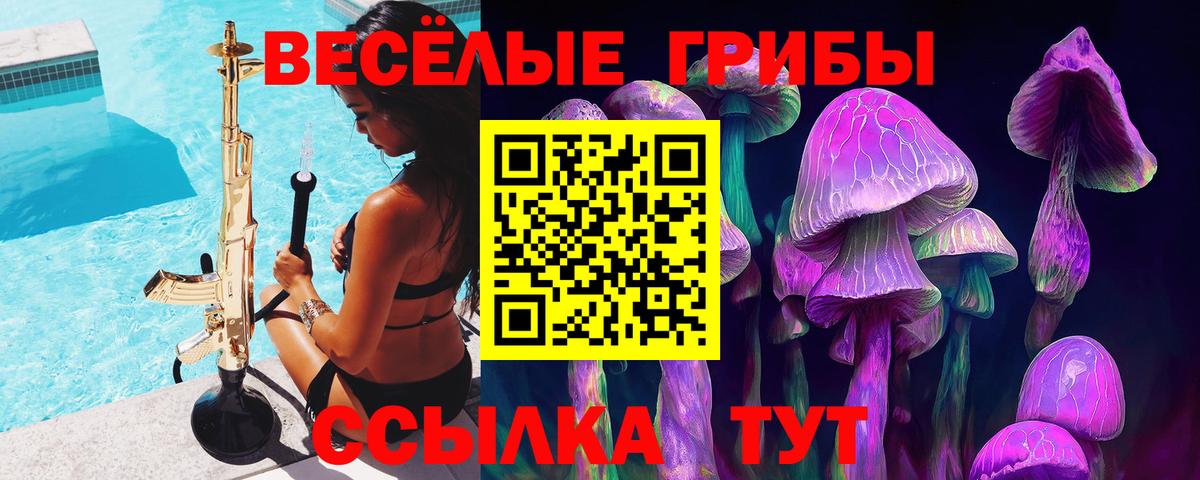 закладки  Галлюциногенные грибы Psilocybine cubensis  Галлюциногенные грибы GOLDEN TEACHER  Вход с VPN  Железногорск 